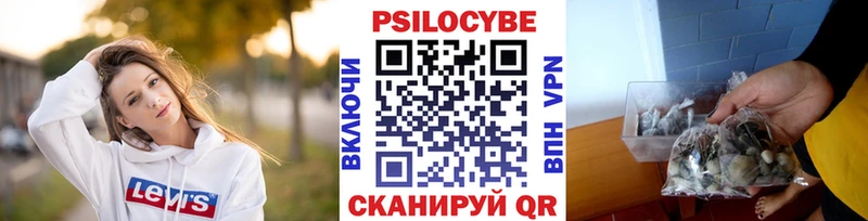 Галлюциногенные грибы Psilocybine cubensis  хочу наркоту  Кохма 
